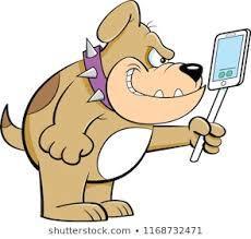 bulldog selfie