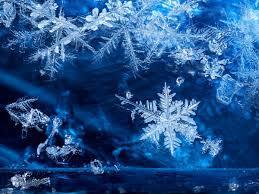 snow image