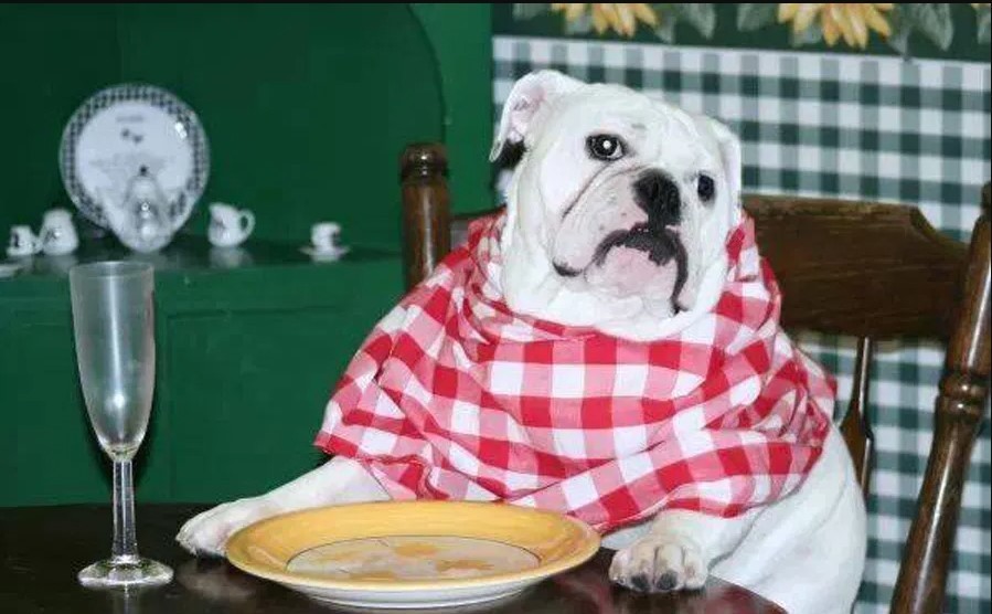 lunch bullie
