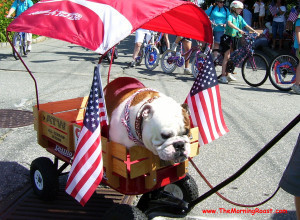 parade bullie