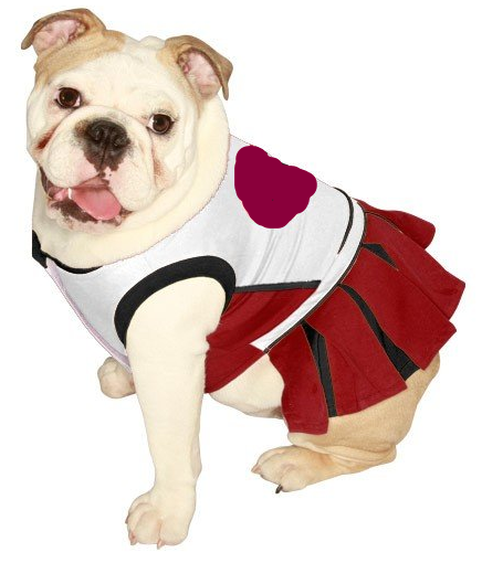 bullie cheerleader
