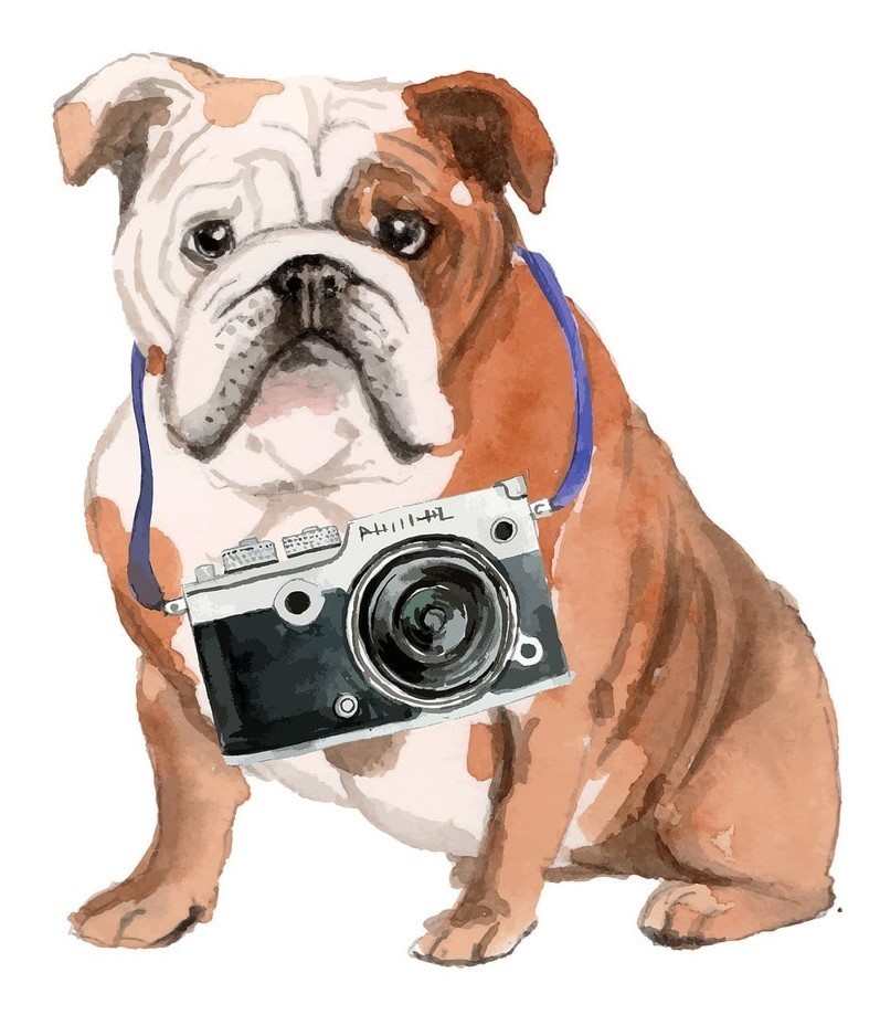 camera bullie