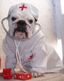 nurse bullie