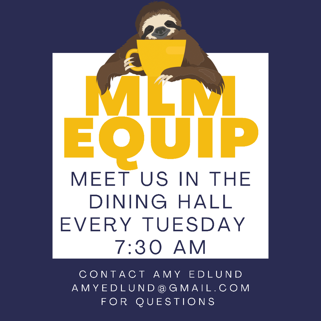 MLM flyer