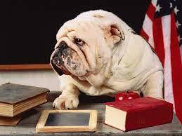 bullie teacher