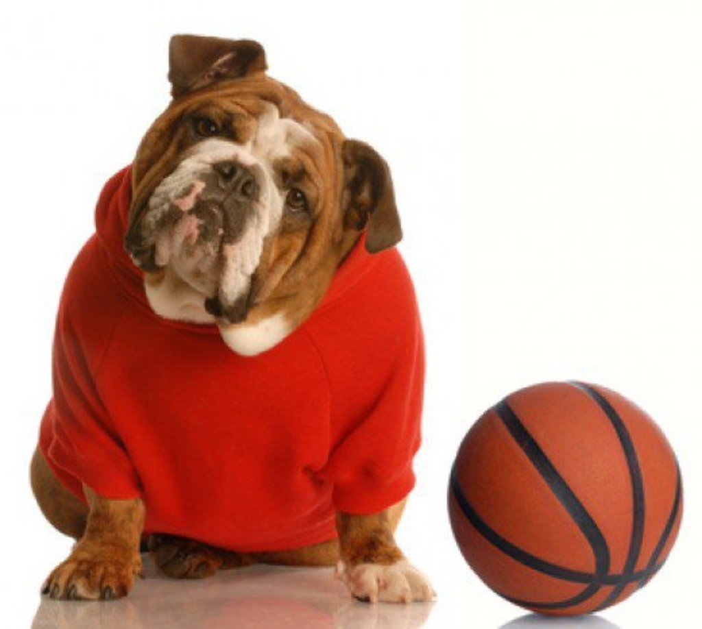 basketball bullie