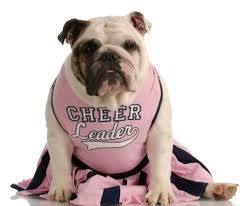 cheer bullie
