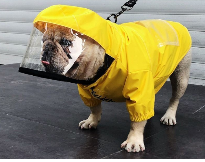 rain gear bullie
