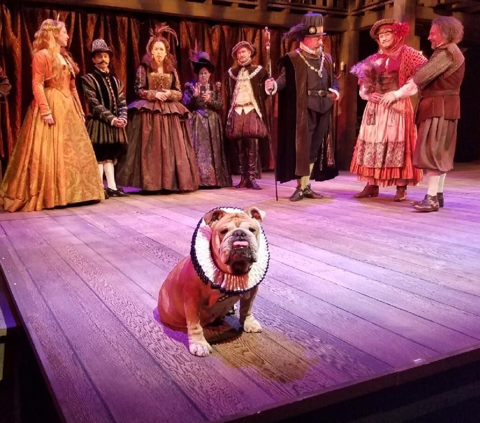 bullie actor on stage