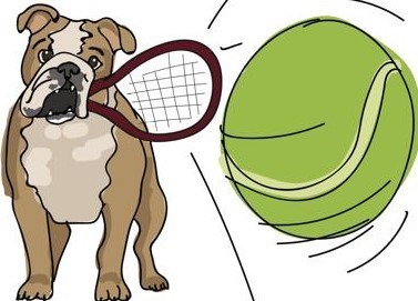 graphic of bullie with tennis racket, ball