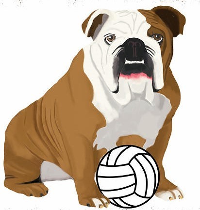 graphic of bullie with volleyball