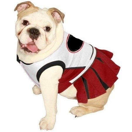bullie in cheerlearder outfit