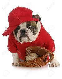 bullie in red with baseball and glove