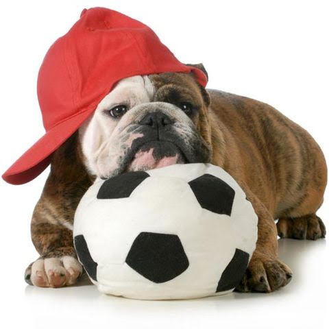 bullie in red cap with soccer ball